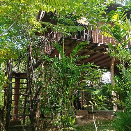 Sigiriya Rock Gate Tree House Ξενοδοχείο Εξωτερικό φωτογραφία