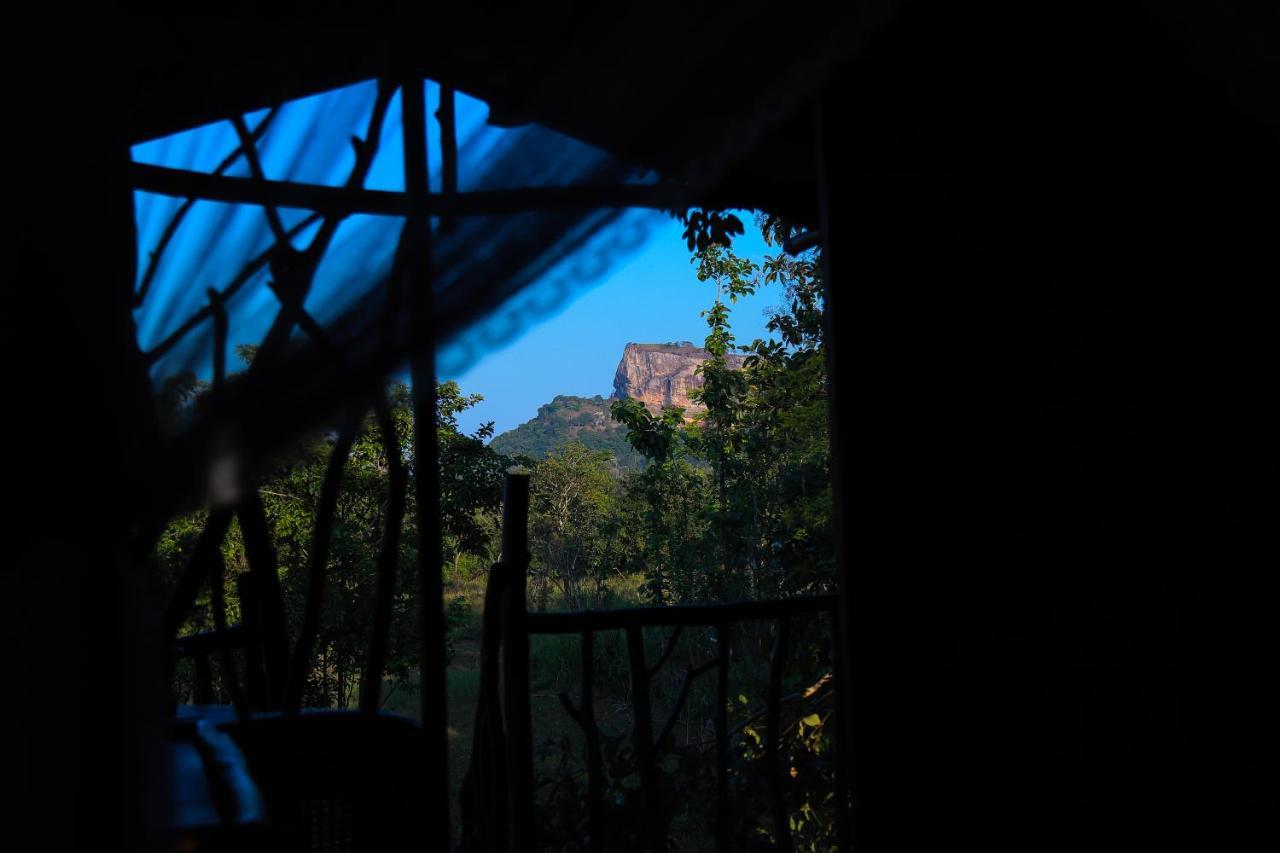 Sigiriya Rock Gate Tree House Ξενοδοχείο Εξωτερικό φωτογραφία
