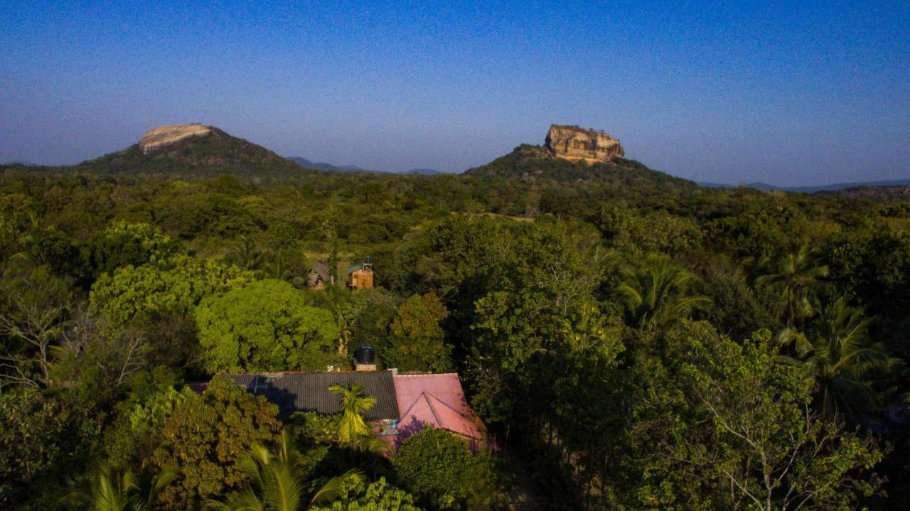 Sigiriya Rock Gate Tree House Ξενοδοχείο Εξωτερικό φωτογραφία