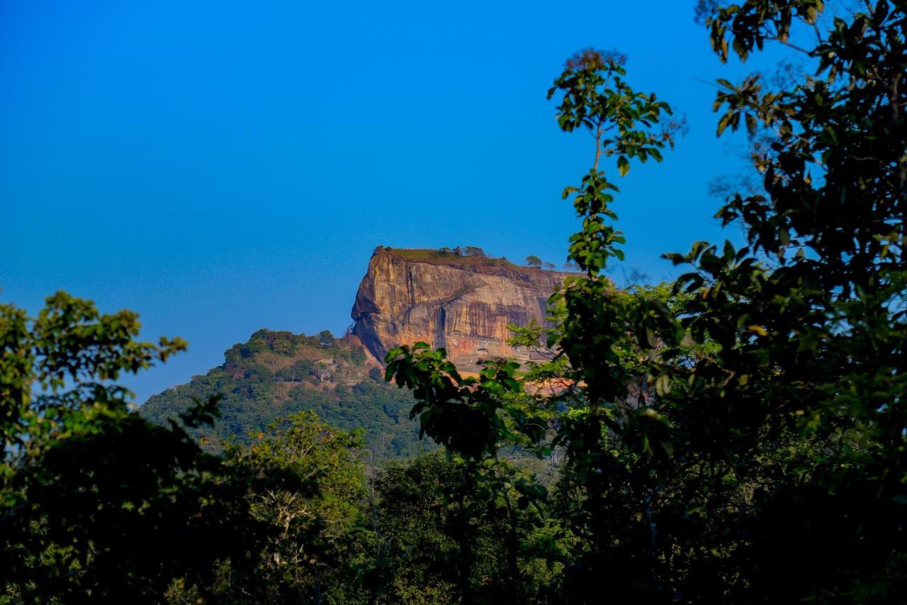 Sigiriya Rock Gate Tree House Ξενοδοχείο Εξωτερικό φωτογραφία