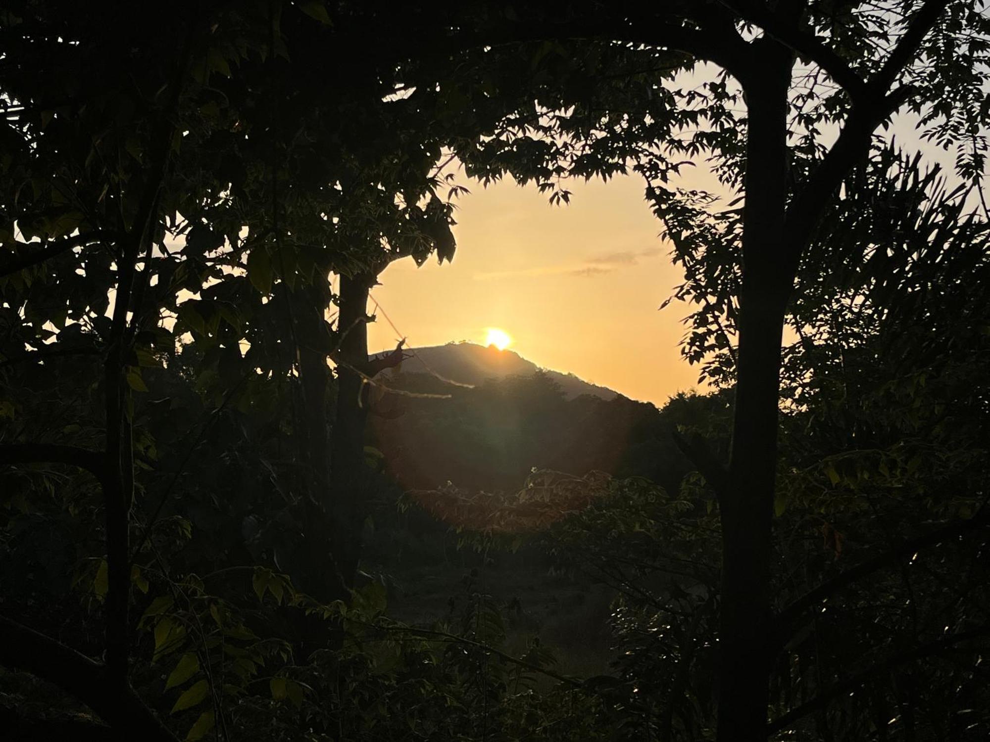Sigiriya Rock Gate Tree House Ξενοδοχείο Εξωτερικό φωτογραφία