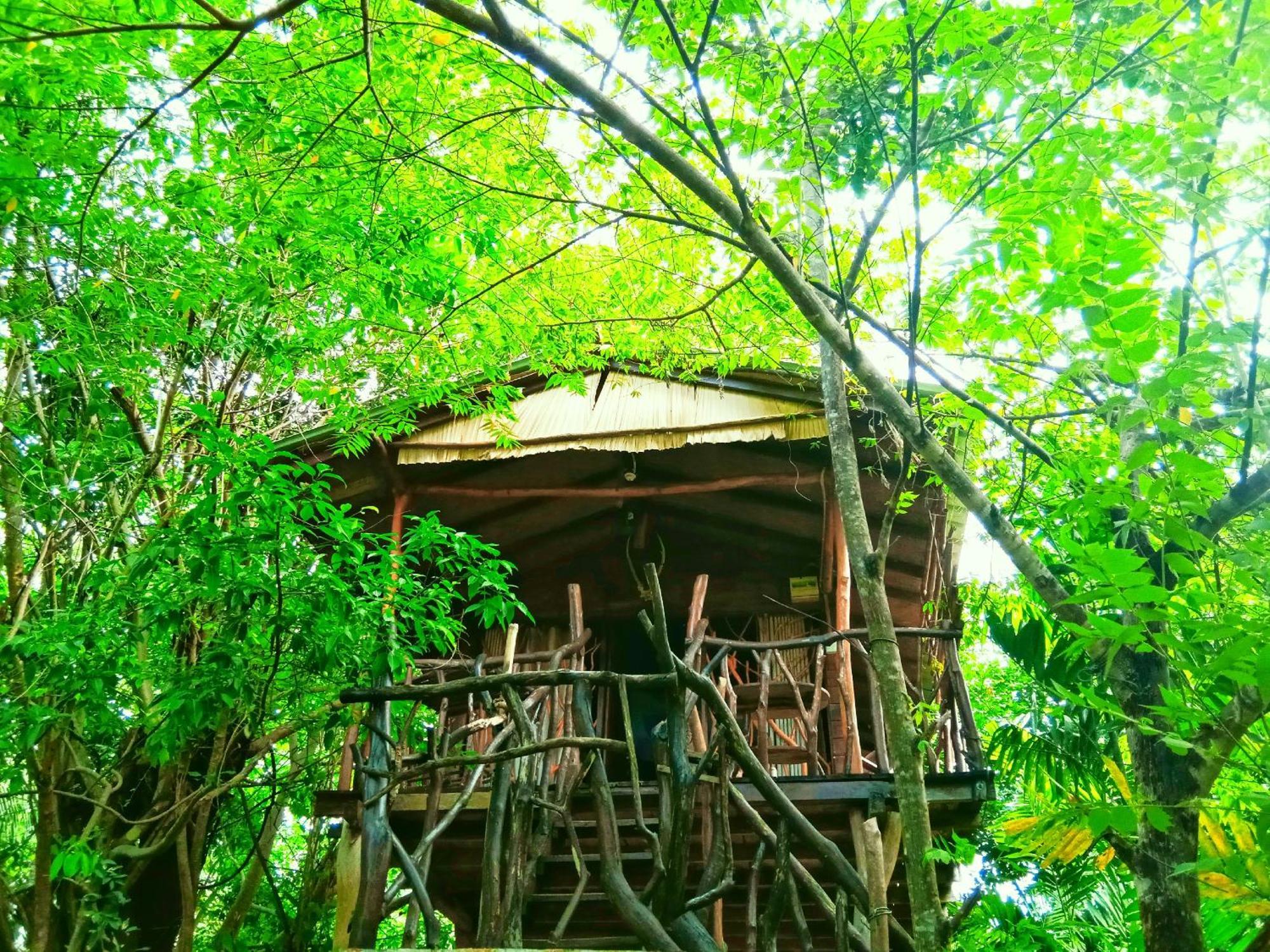 Sigiriya Rock Gate Tree House Ξενοδοχείο Εξωτερικό φωτογραφία