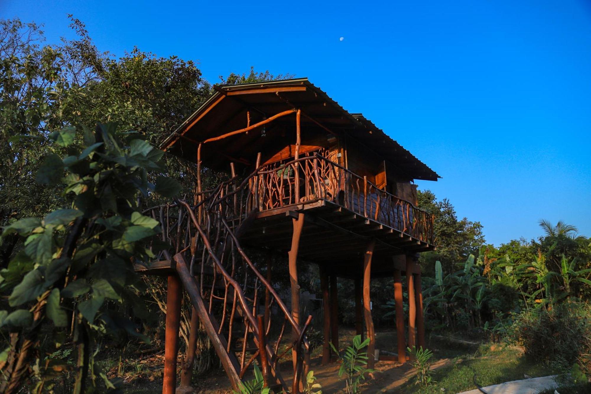 Sigiriya Rock Gate Tree House Ξενοδοχείο Εξωτερικό φωτογραφία