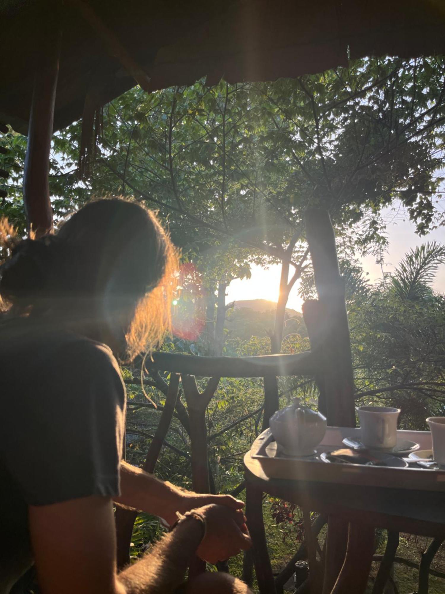 Sigiriya Rock Gate Tree House Ξενοδοχείο Δωμάτιο φωτογραφία