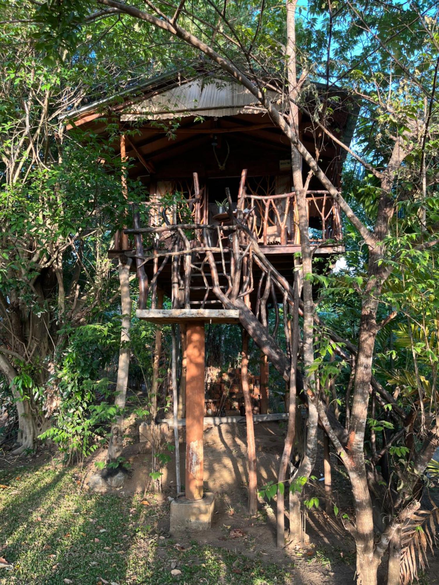 Sigiriya Rock Gate Tree House Ξενοδοχείο Δωμάτιο φωτογραφία
