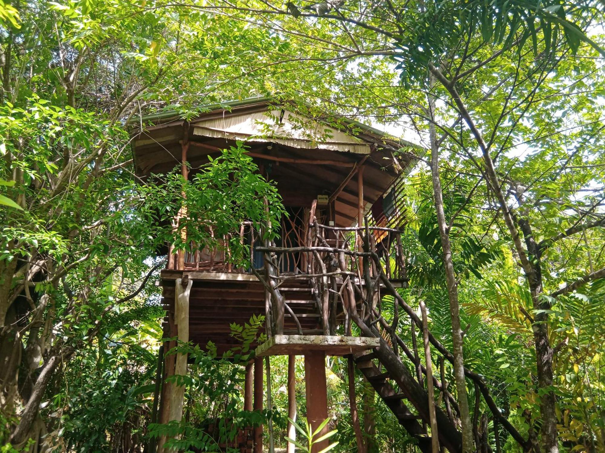Sigiriya Rock Gate Tree House Ξενοδοχείο Δωμάτιο φωτογραφία