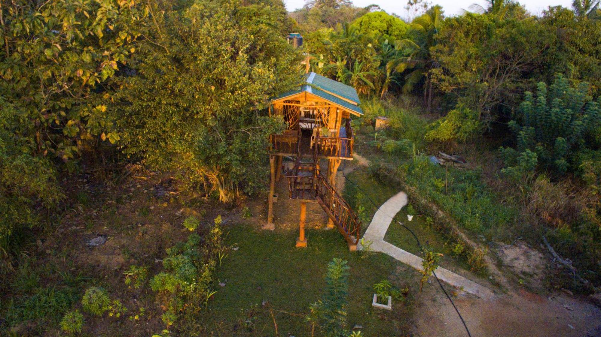 Sigiriya Rock Gate Tree House Ξενοδοχείο Εξωτερικό φωτογραφία